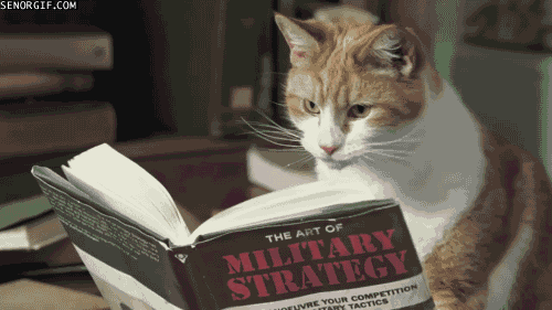 cat reading military strategy